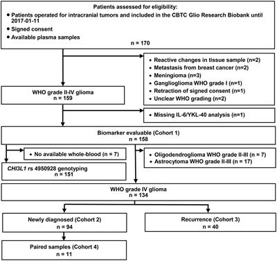 Systemic Immune Modulation in Gliomas: Prognostic Value of Plasma IL-6, YKL-40, and Genetic Variation in YKL-40